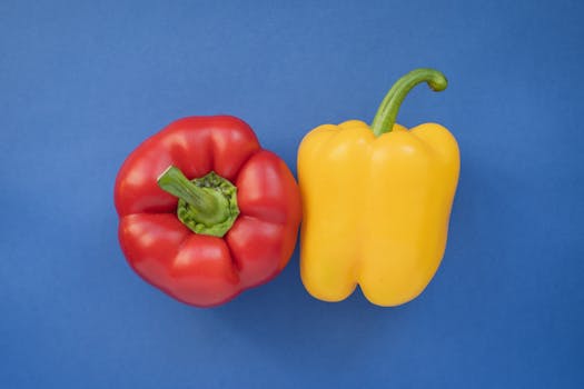 10 Top Vegetariánských Delikates z Bavorska pro Gurmány