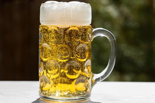 Objavte Top 7 Tradičných Bavorských Nápojů: Od Piva po Schnapps