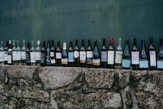 Objevte Nejlepší Bavorské Víno: Průvodce Ochutnávkou