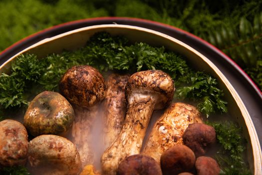Bavorské Veganské Delikatesy: Tradiční Chutě v Novém Kabátě!